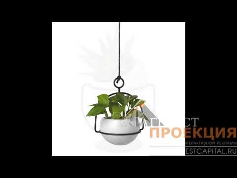 Полукруглое кашпо из светлой керамики в крапинку словно парит над черной металлической рамой.